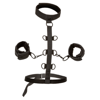 CalExotics Boundless Collar Body Restraint