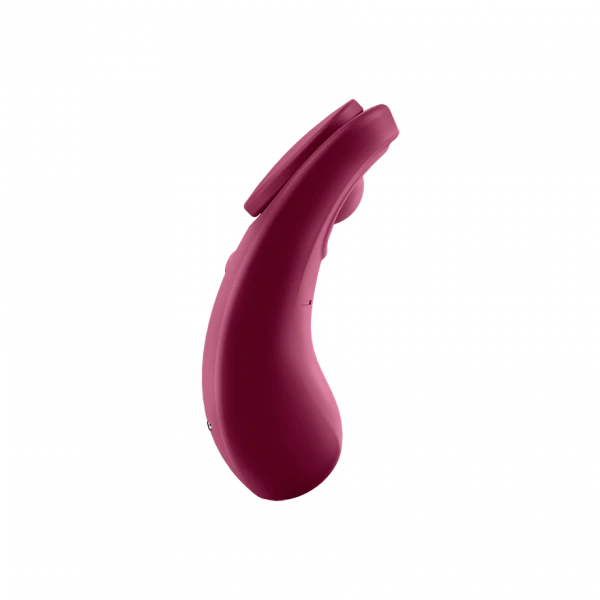 Satisfyer Sexy Secret Panty Vibrator - Wine Red